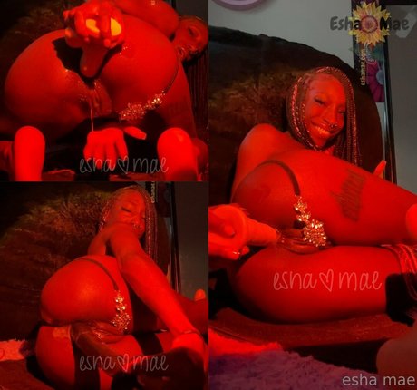 realeshamae perfect pornstar picture