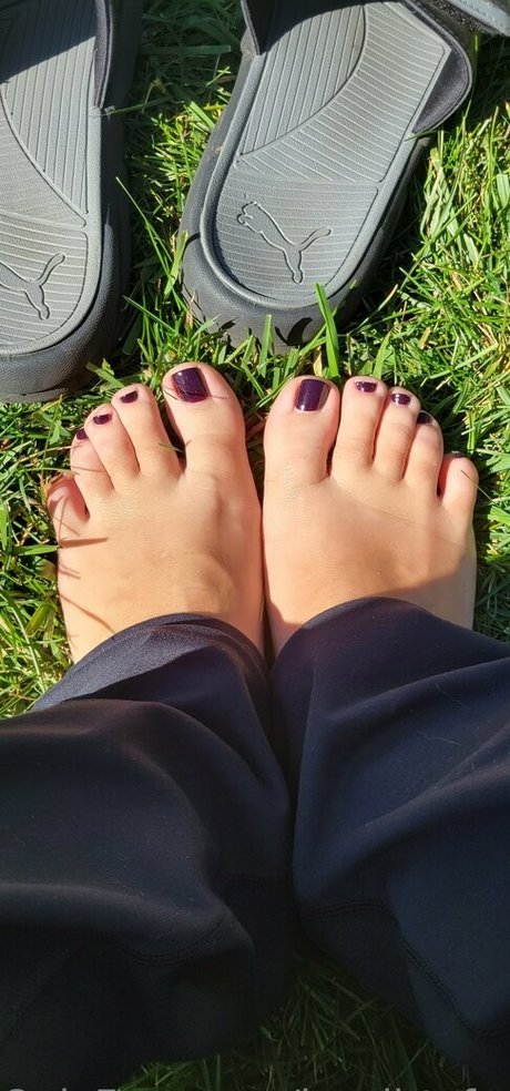 herdirtyfarmsocksfree free star images