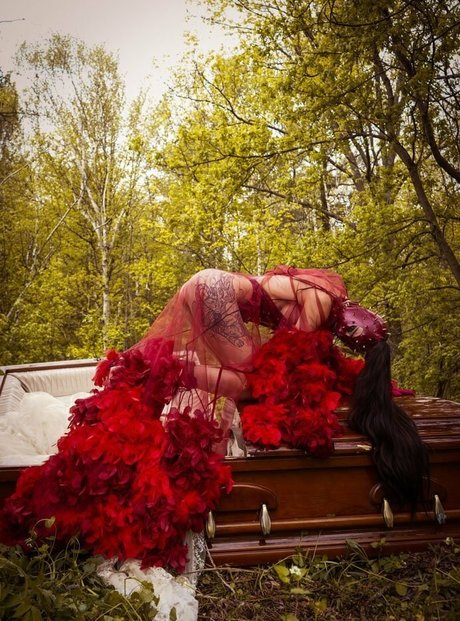 curvy kitty onlyfans free sex galleries