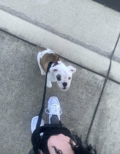 kaitimackenzie Profile photo