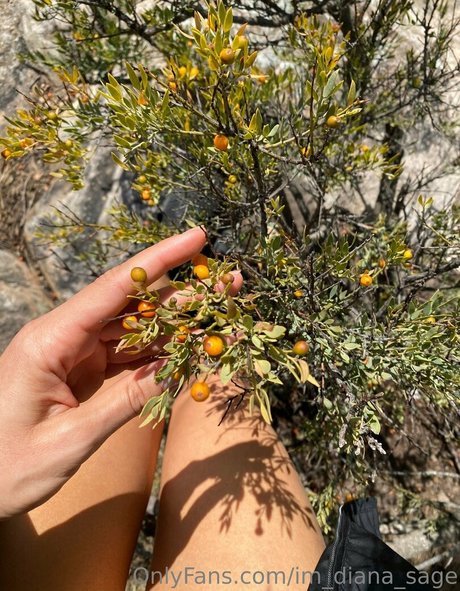 gloryhole onlyfans free sex photo