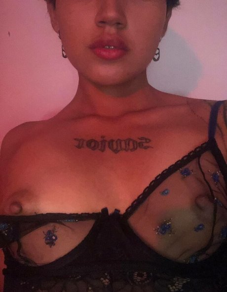 ddebireinoso pornstar naked pic