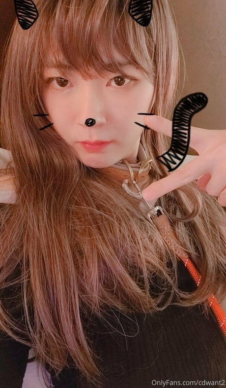 cdwant2 star art galleries