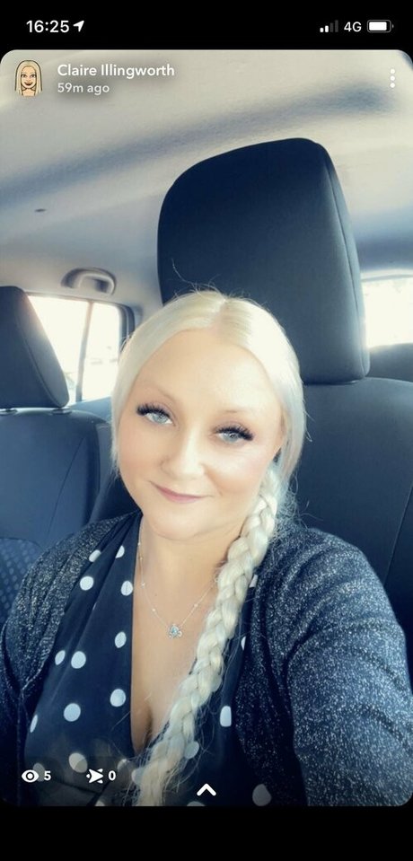 petitiepolly star art image