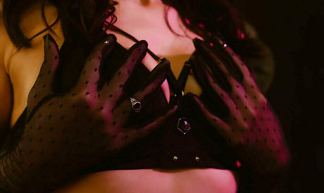 logsterbunny star hd img