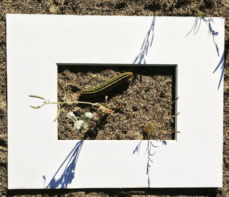 sports star onlyfans porn photo