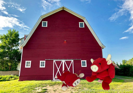 Marie Sweets sex star photo