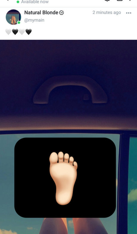 mymain1 star pretty gallery