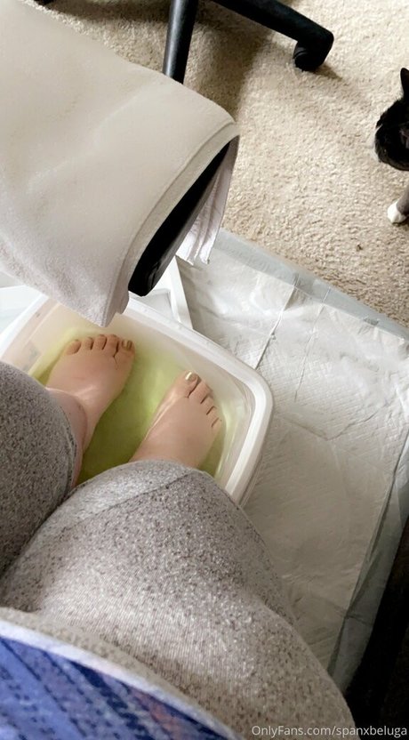 spanxbeluga pornstar perfect pictures