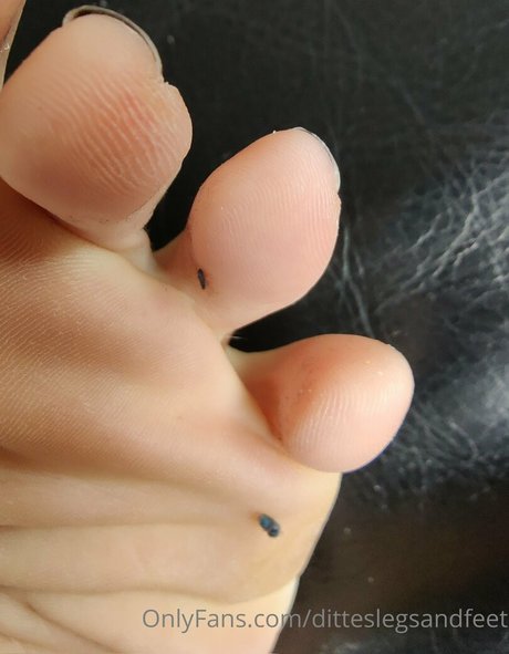 ditteslegsandfeet art star archive