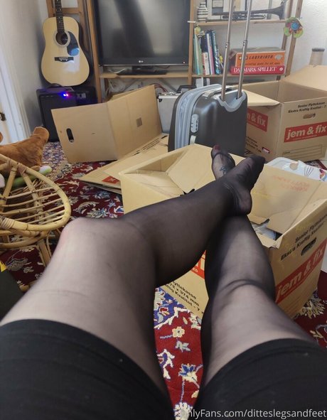 ditteslegsandfeet pornographic star gallery