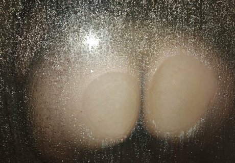 priscilasmith star porn archive