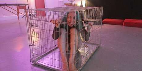 nia fox free actress gallery