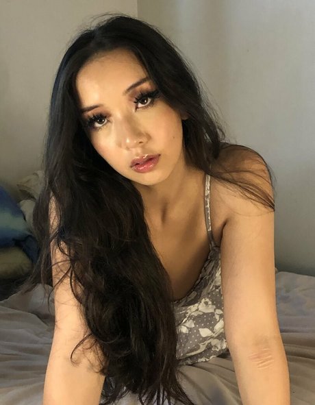 woxbox model pretty galleries