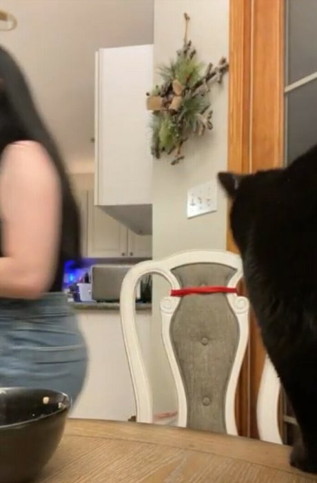 Awakeproductions high quality pornstar gallery