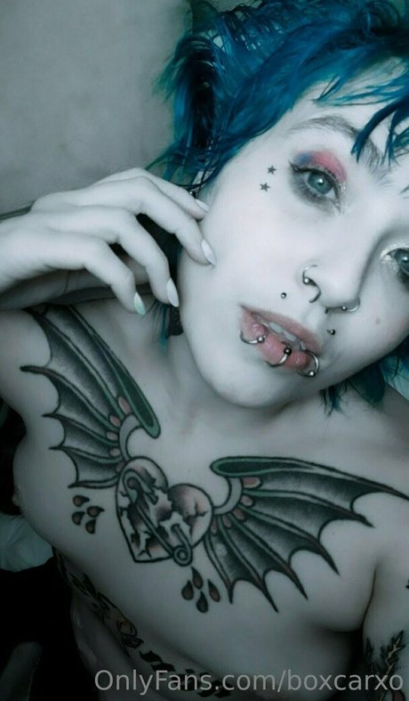 Boxcarxo star hot img