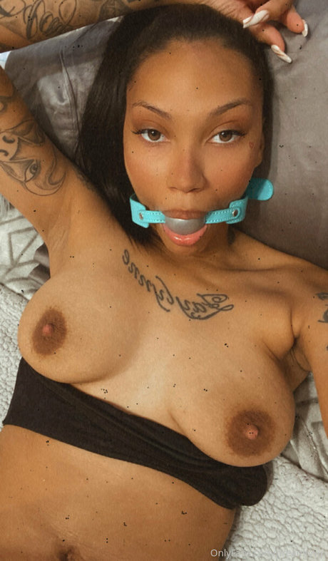 dreamty sex pornstar galleries