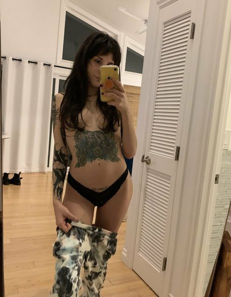 ashietaylor xxx pornstar gallery