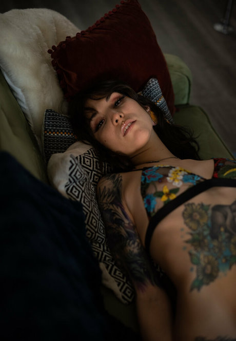 ashietaylor star adult gallery