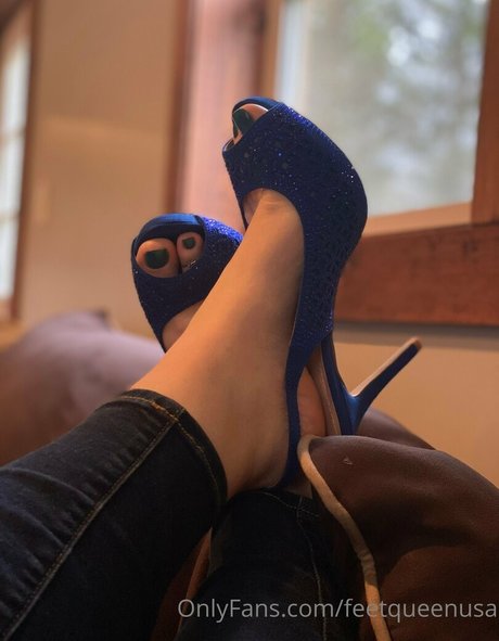 clovers photos star perfect picture