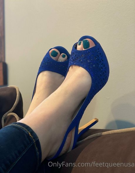 clovers photos free star pics