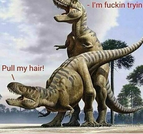 snovixen model beautiful photo