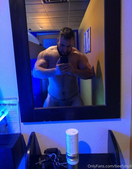 beefybull star beautiful pictures