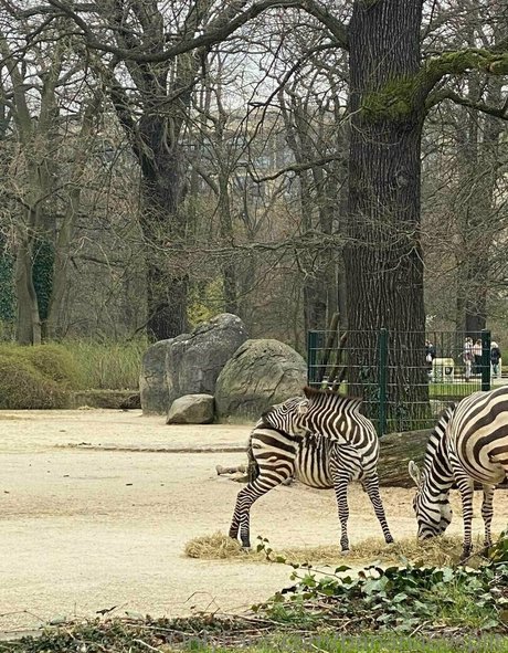 banana69split pretty pornstar photos