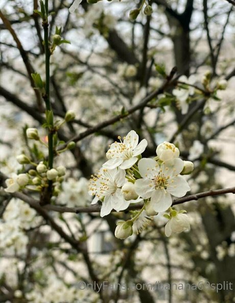 black onlyfans free sexy photos