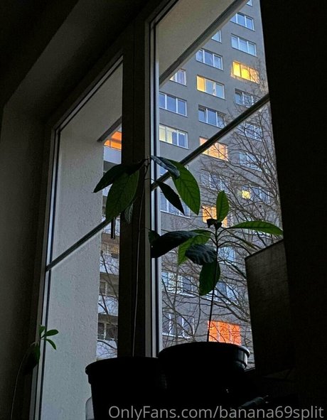 banana69split pornstar hot archive