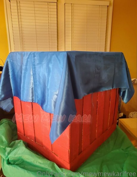 mewmewkarifree star high quality pictures