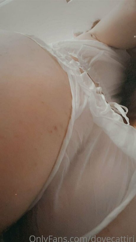 dovecattiri erotic pornstar pic