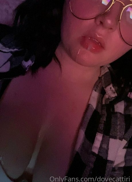 dovecattiri star adult image