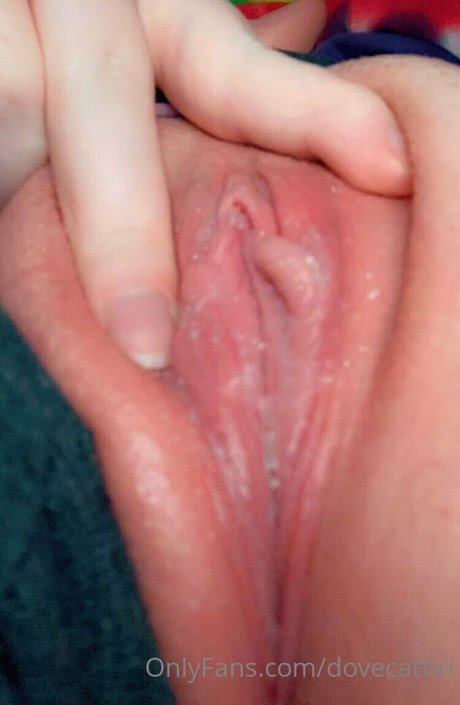 dovecattiri pornographic star photo