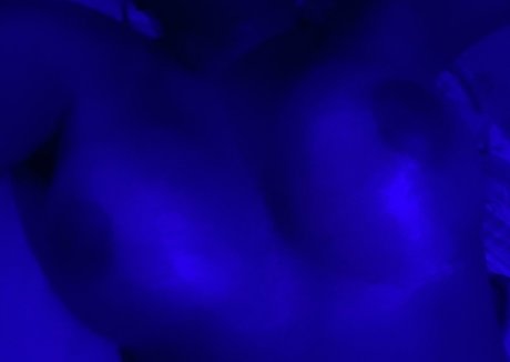 jerri thedancer nude star pictures