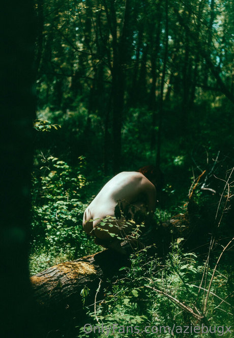 aziebugx pornstar high quality img