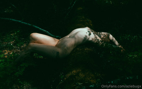 aziebugx star high quality photo