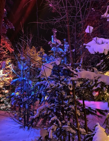 sexy anal onlyfans sex images