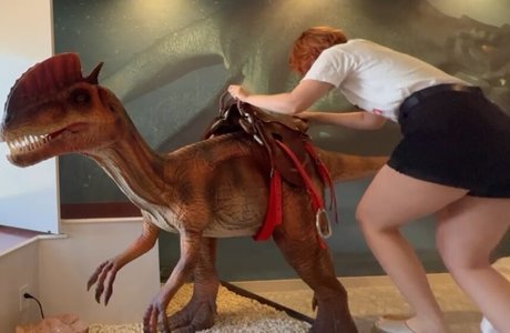 Tokidoki Traveller nice model galleries