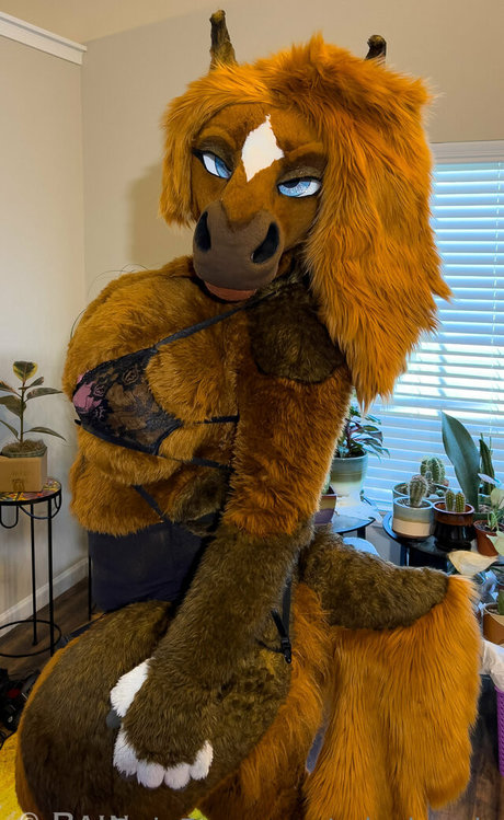 rain horsie hd pornstar pic