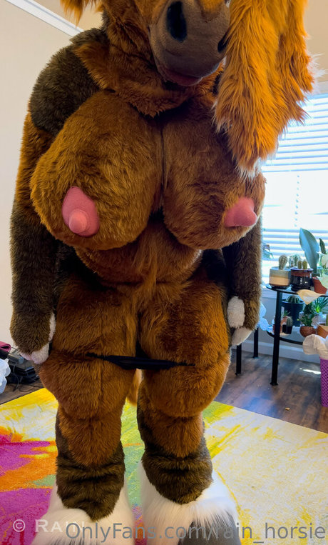 rain horsie star nice images