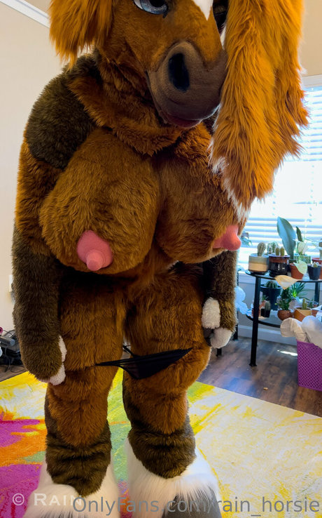 rain horsie top star photo