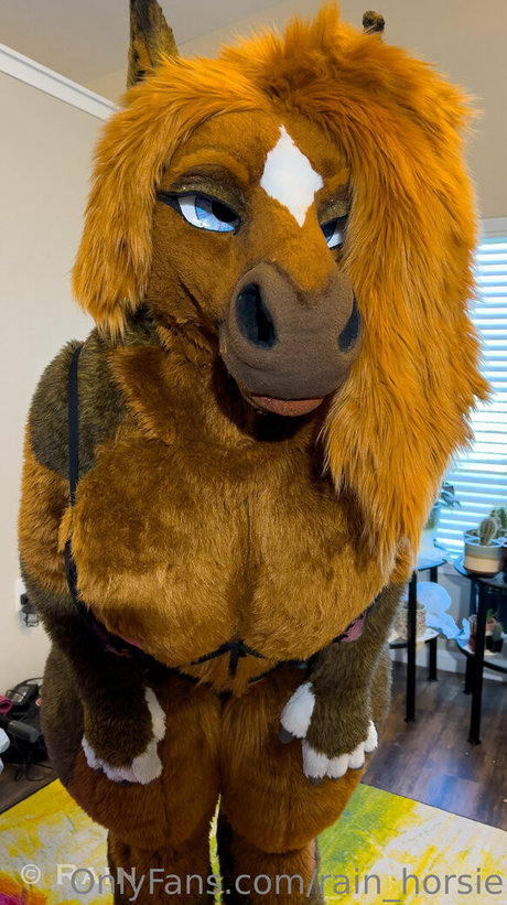 rain horsie model art image