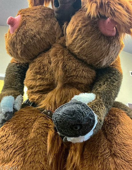 rain horsie art star img