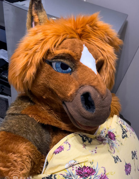 rain horsie model high quality pictures