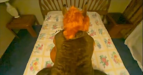 rain horsie Profile photo