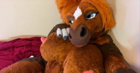 rain horsie pornstar best img