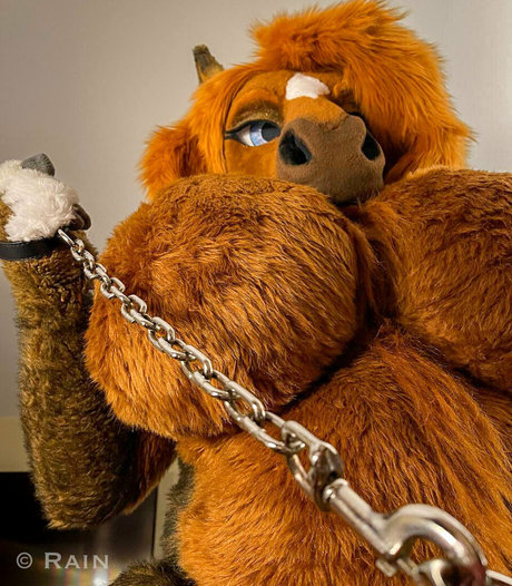 rain horsie sex actress images