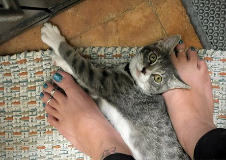 princessttoes pornographic actress images