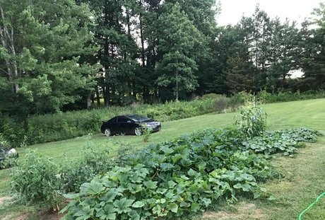 lovesamantha model adult pics